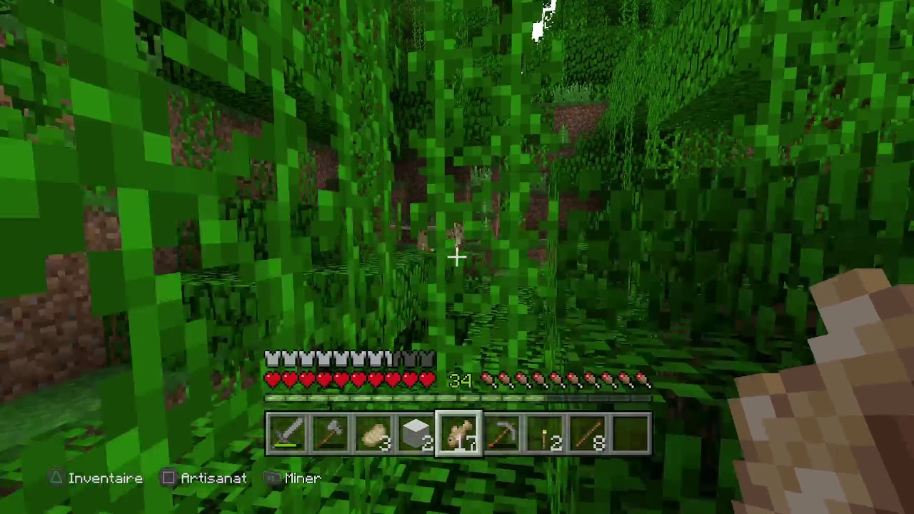 Minecraft: PlayStation®4 Edition_ Apprivoiser un ocelot. - YouTube