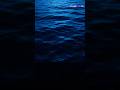 What If You Fell Into the Mariana Trench? 🌊😨 #shorts #ocean #whatif