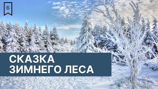 Сказка зимнего леса