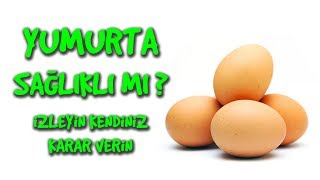 Yumurta Sağlikli Mi Deği̇l Mi̇? İzleyin Siz Karar Verin Hayvansal Beslenme