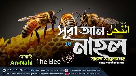 (016) সূরা আন-নাহল Surah An Nahl bee سورة النحل |Quran Bangla English Translation | Md Refat Hossain
