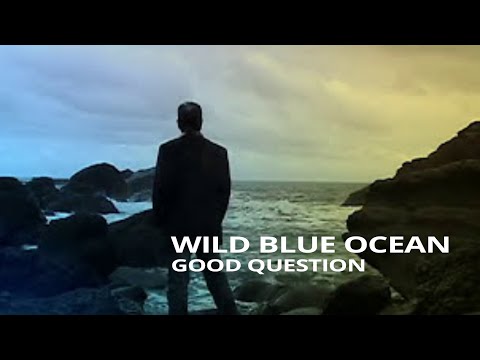 Wild Blue Ocean - Good Question