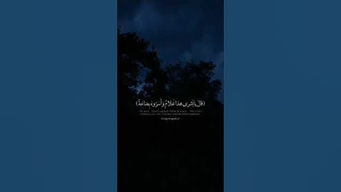وَجَآءَتۡ سَيَّارَةٞ فَأَرۡسَلُواْ وَارِدَهُمۡ | سورة يوسف | محمد صديق المنشاوي