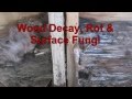 Wood Decay, Rot & Surface Fungi Wood Decay, Rot & Surface Fungi