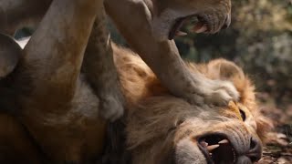 Nala Finds Simba Scene | THE LION KING | Movie Scene (2019)