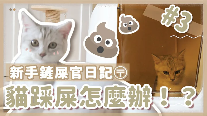 铲屎官日记#3 || 这么可爱的猫咪为什么要踩屎？直击'辛巴'踩屎现场！｜〶 喵星人 - 天天要闻