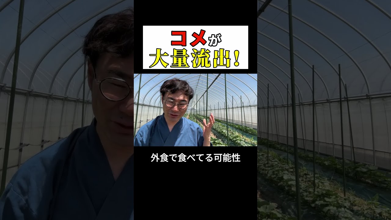 【WEB限定】 has rice of amount huge A leaked YouTube - out! その他