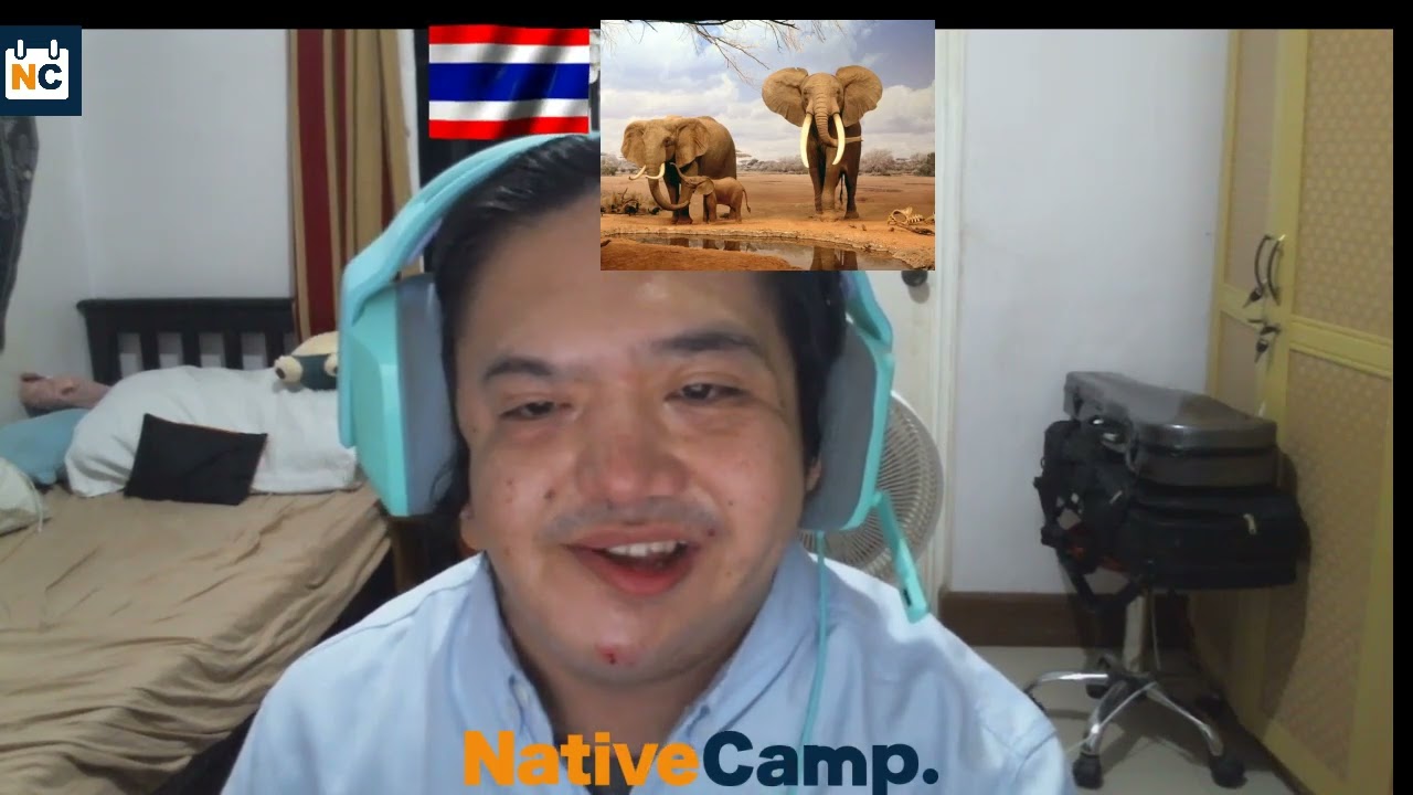 My First Native Camp Live Lesson on Daily News Textbook! | Advanced ESL News Discussion