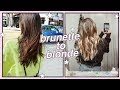 GO BLONDE WITH ME ☆ brunette to blonde hair transformation