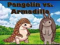 **Pangolín vs. Armadillo**