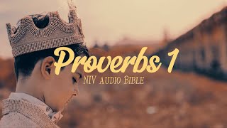 Proverbs 1 - NIV Audio Bible Visuals Text Male Voice