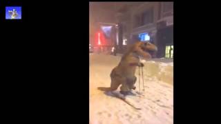 смешные приколы , подборка приколов 2015 смешные приколы , подборка приколов 2015