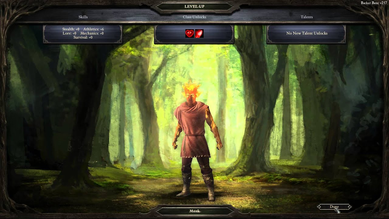 Pillars Of Eternity Monk YouTube