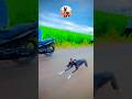 kolhapur dog race || dog res || Dog racing kolhapur || #shorts