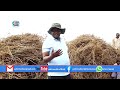 Prophet david operating a harvesting machine at eden farm in nakaseke