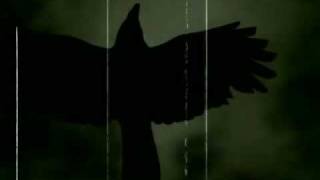 Corpsepain - Die Krähe