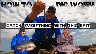 Collecting WONDERWORM for SURF FISHING I Bait&Trace