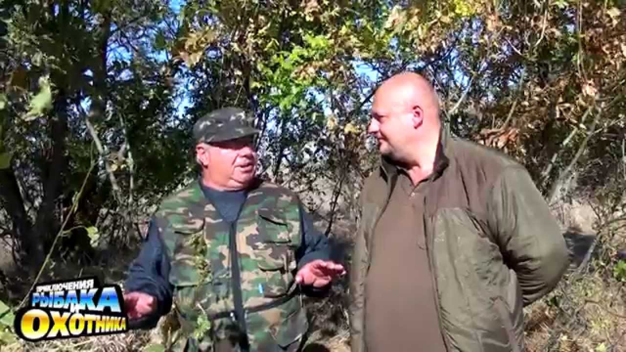 shop Биоэнергетика человека. Пути повышения энергетического потенциала 2002