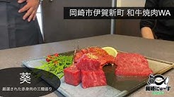 おかにゅーtv Youtube