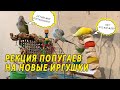 РЕАКЦИЯ МОИХ ПОПУГАЕВ НА НОВЫЕ ИГРУШКИ | ПОКУПКИ ДЛЯ ПОПУГАЕВ