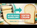 How Xylanase Enzyme Grades Unlock Xylose, Dough Quality &amp; Process Yield | enzymes.bio