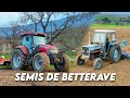 Herse rotative et semis de betteraves 