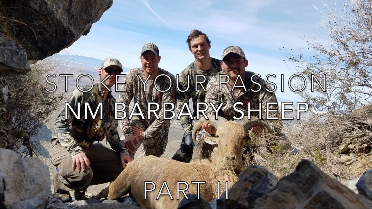New Mexico Barbary Sheep Hunt Part II Stoke Your Passion YouTube