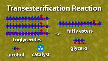 Chemistry of Biodiesel