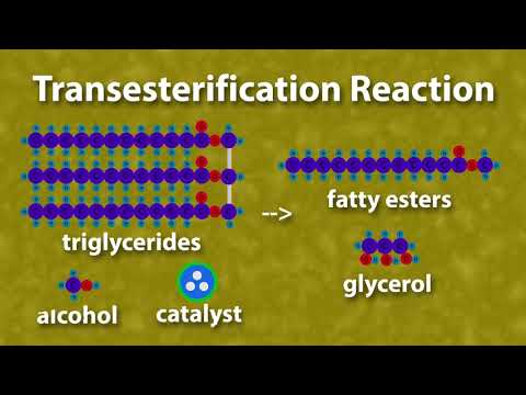 Video: Hvad er strukturen af biodiesel?