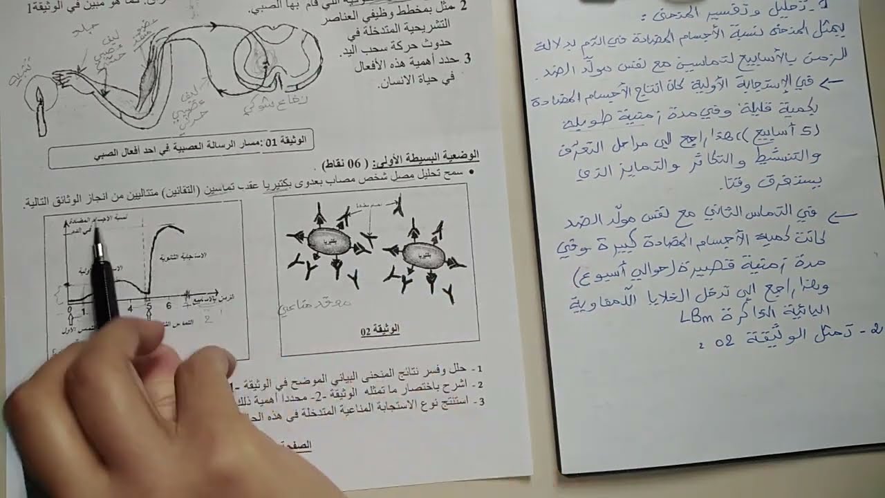 تمرين حول الاستجابة المناعية النوعية ذات الوساطة الخلطية، علوم طبيعية سنة رابعة متوسط