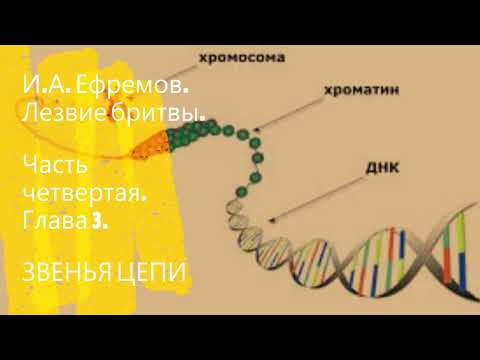 Видео: Что такое глубокогрудые собаки?