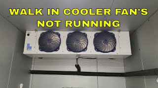 WALK IN COOLER FANS NOT RUNNING