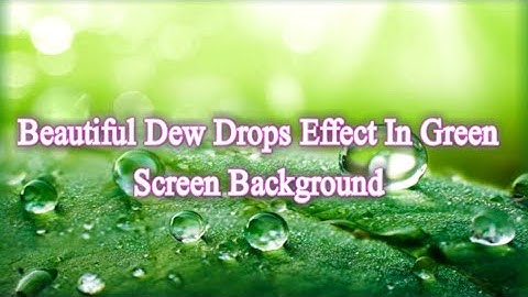 Beautiful Dew Drops Effect In Green Screen Background #effects #edit #viral  @starsandhya54