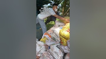 Đất ngũ sắc bốc mộ, sang cát #datngusac #bocmo #sangcat #hahuyet #hantho #hoanlongmach