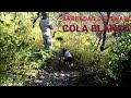 de nuevo a las ARREADAS de venado cola Blanca en la sierra de Guerrero 🐍🐍