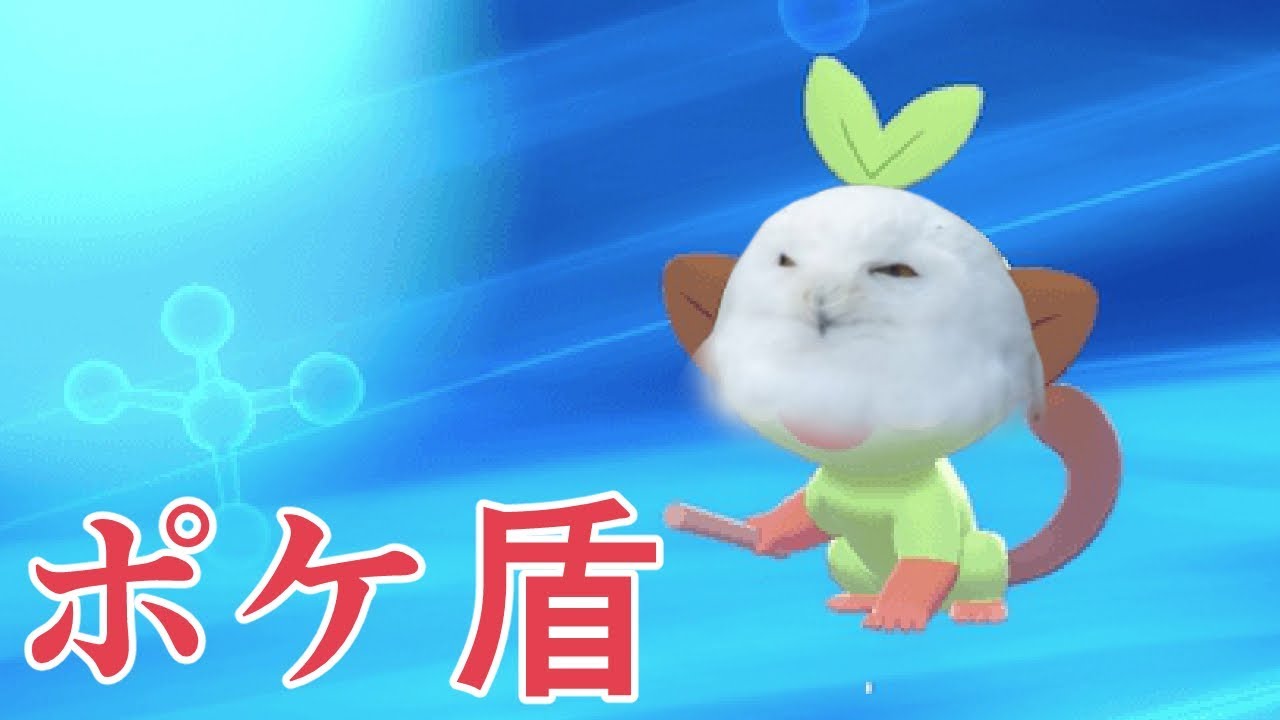 ダイパからポケモンやってなかったので新鮮 3 ポケモン盾 Youtube ダイパからポケモンやってなかったので新鮮 3 ポケモン盾 Youtube