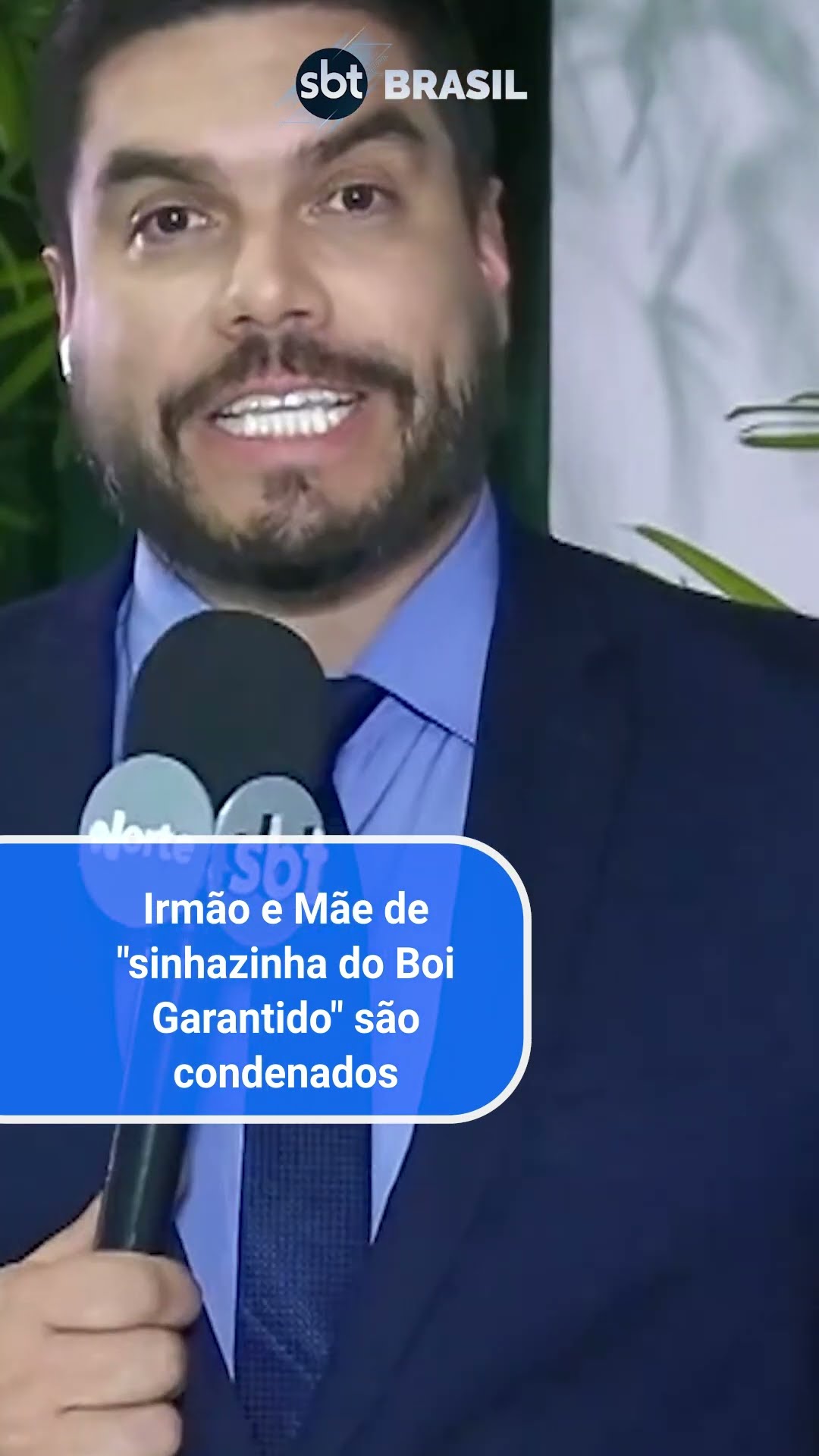 Caso Djidja: mãe, irmão e mais 5 são condenados a mais de 10 anos de prisão | SBT Brasil (17/12/24)