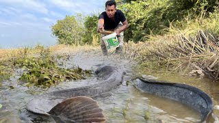 Unique Fishing | Wild Man Catching Fish in Dry Mud Rural Area