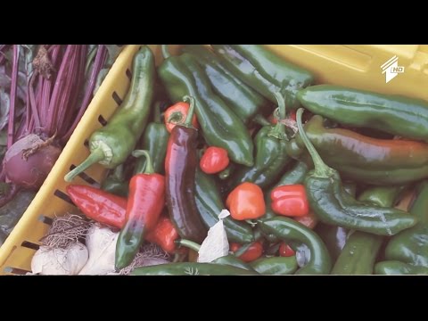 \"ფერმა\" - გენური ინჟინერიით მოყვანილი ყველა პროდუქტს განმასხვავებელი ნიშანი ექნება