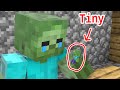 Monster School : Tiny Baby Zombie, What Happened ? - Sad Story  - Minecraft Animation