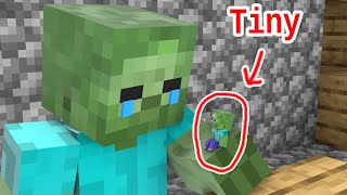 Monster School : Tiny Baby Zombie, What Happened ? - Sad Story  - Minecraft Animation