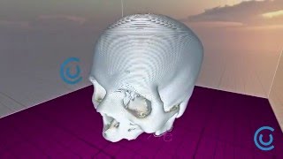 CraftUnique - CraftBot PLUS