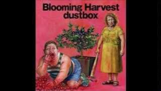 Download lagu Dustbox - Broken Wings