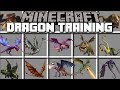 Minecraft DRAGON MOD / TRAINING YOUR MEDIEVAL DRAGONS IN MINECRAFT!! Minecraft