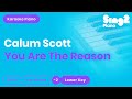 You Are The Reason (LOWER Piano Karaoke) Calum Scott