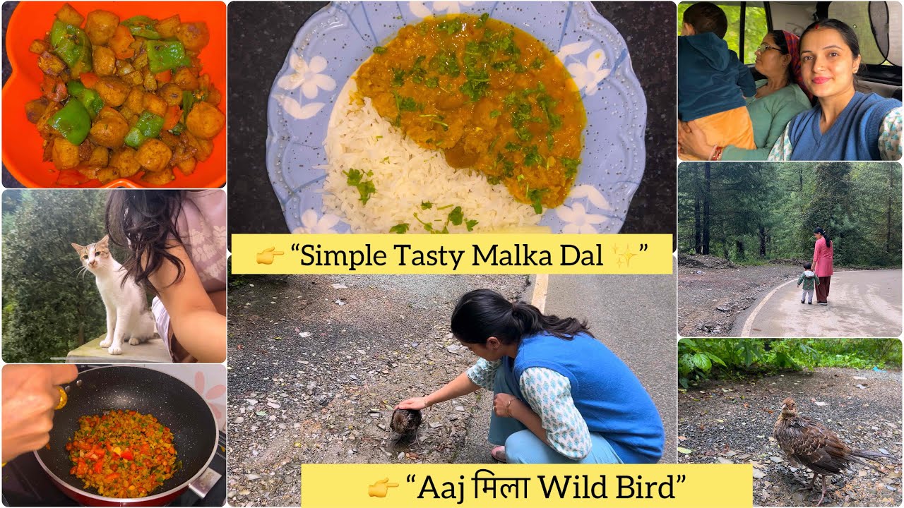Poha in Breakfast 🥣 | Morning Walk, SautéVegetable & रास्ते में मिला Wild Bird 🐓, Dinner Dal Recipe
