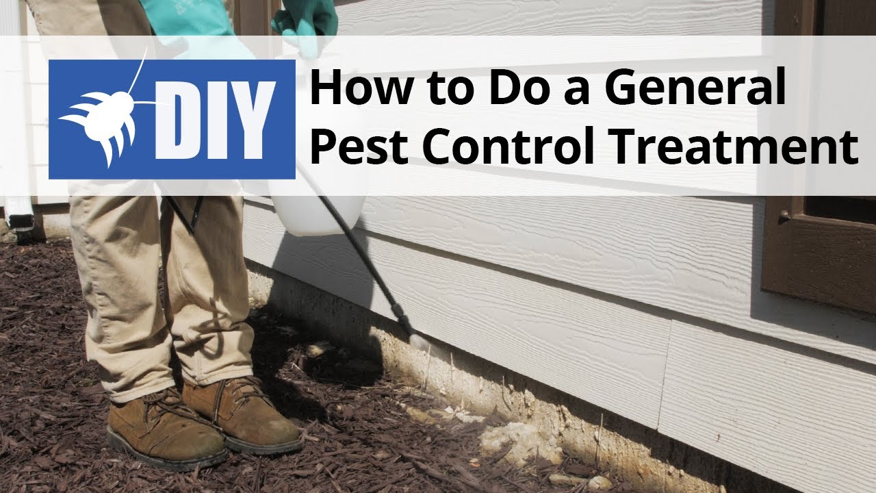 Making homemade pest control solutions - Appropedia, the