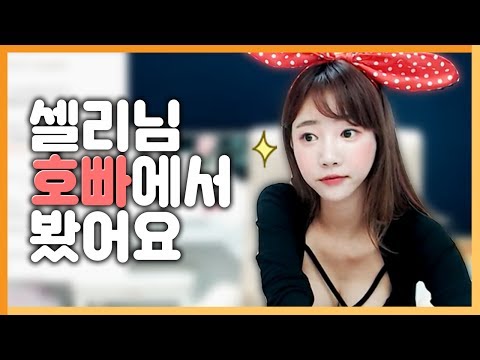 셀리