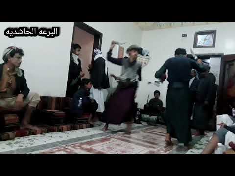 البرعه الحاشديه على اصولها مع الاخ عبدالخالق ابوغانم 