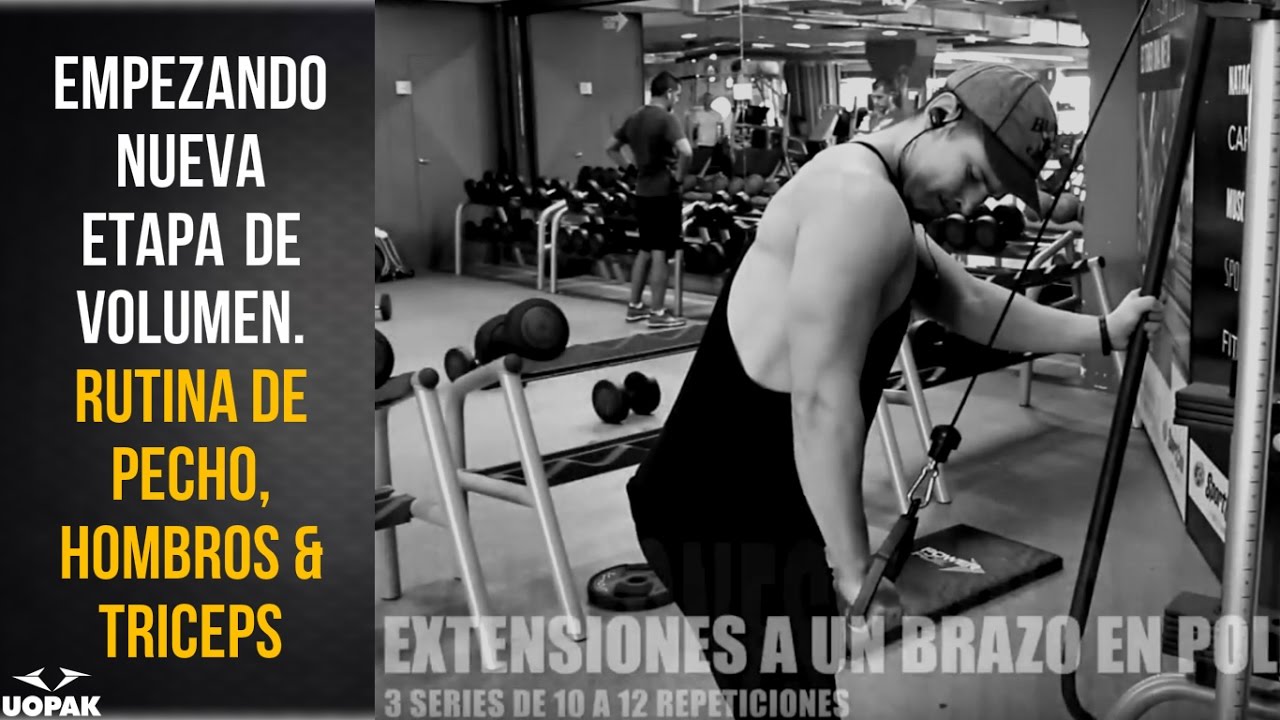 entrenamiento de pecho hombros y triceps entrenamiento de pecho hombros y triceps